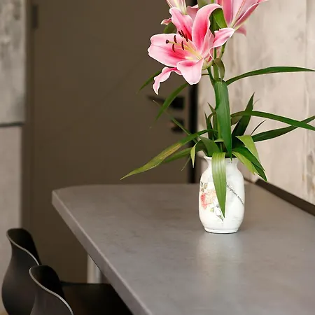 Apartamento Deluxe 3 Center *